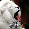 jovanyb628